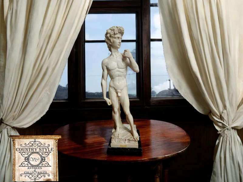 Michelangelo's David