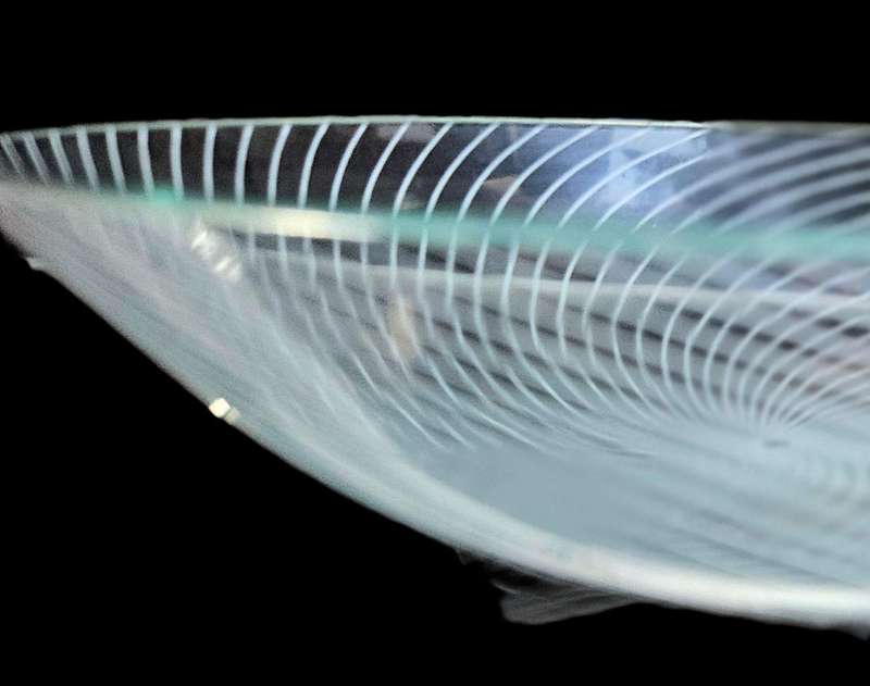 Retro Chance glass bowl