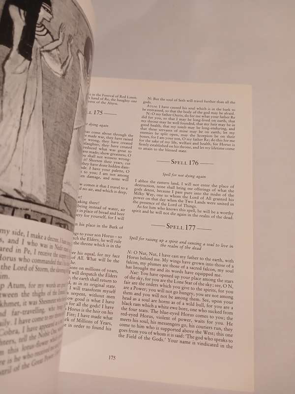 Book of the Dead by R.O. Faulkner