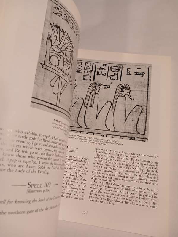 Book of the Dead by R.O. Faulkner