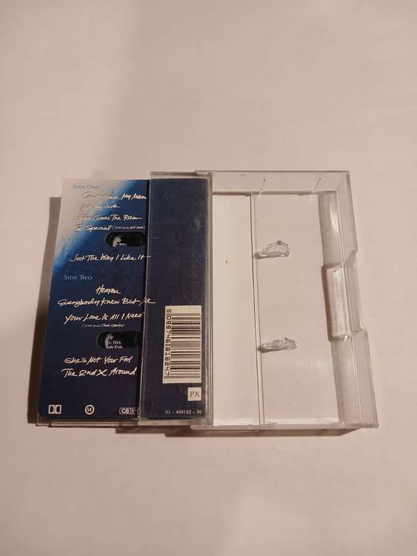 Alyson Williams, Alyson Williams Cassette, Europe