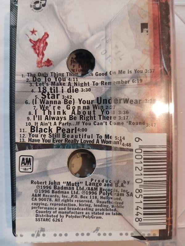 Bryan Adams, 18 Til I Die Cassette
