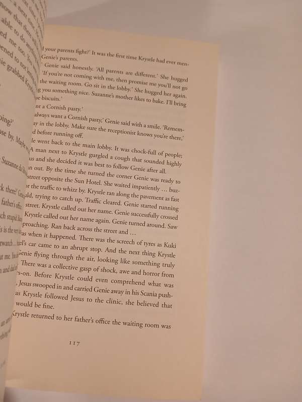 The Theory of Flight by Siphiwe Gloria Ndlovu