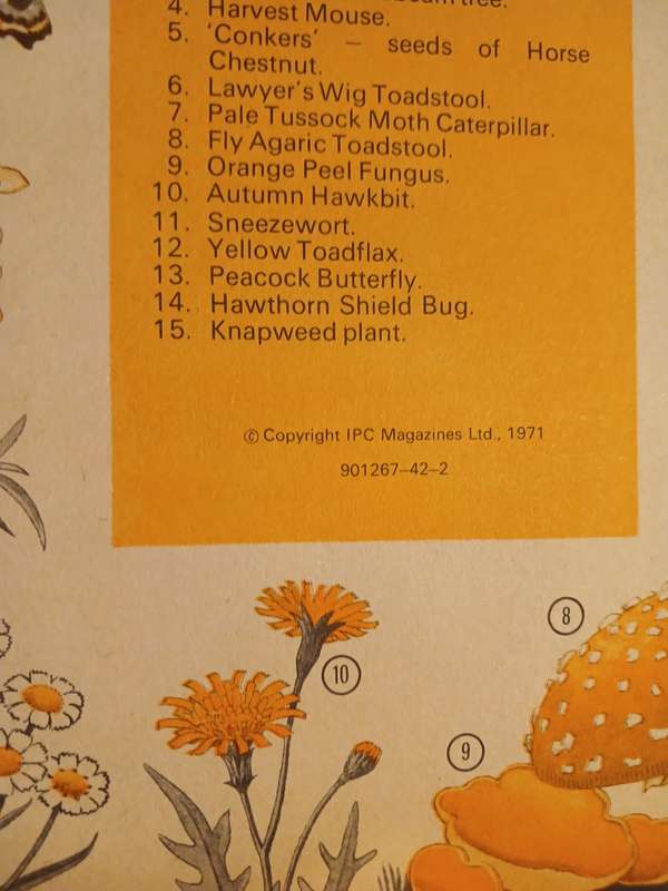 Girls' Crystal Annual 1971, IPC Magazines