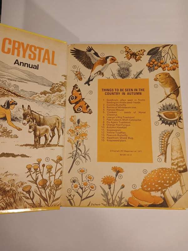 Girls' Crystal Annual 1971, IPC Magazines