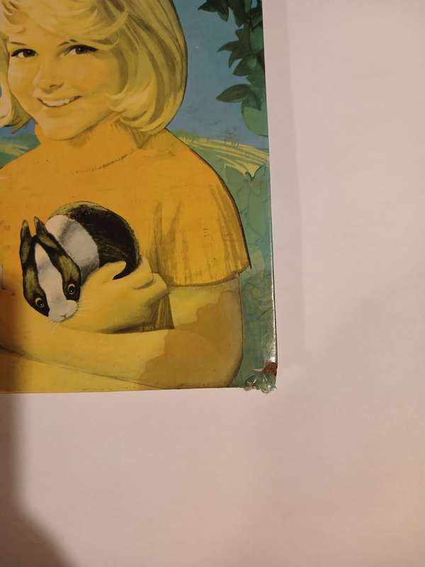 School Friend Annual 1971, IPC Magazine