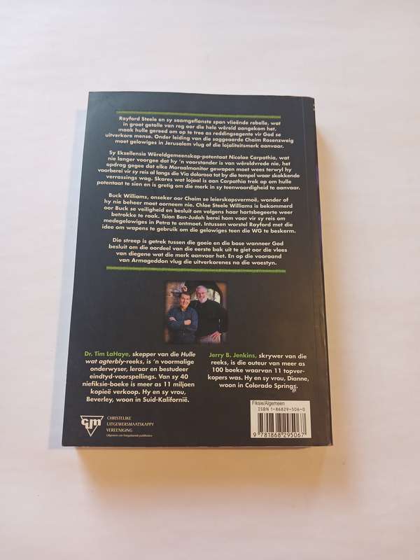 Die Ontheiliging by Tim Lahaye and Jerry B. Jenkins