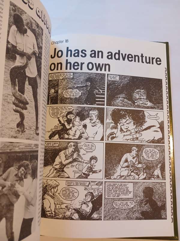Famous Five Annual, Five Have a Wonderful Time by Enid Blyton