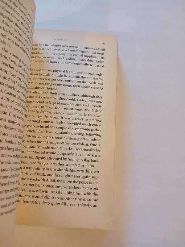 The Riddle, The Second Book of Pellinor by Alison Croggon