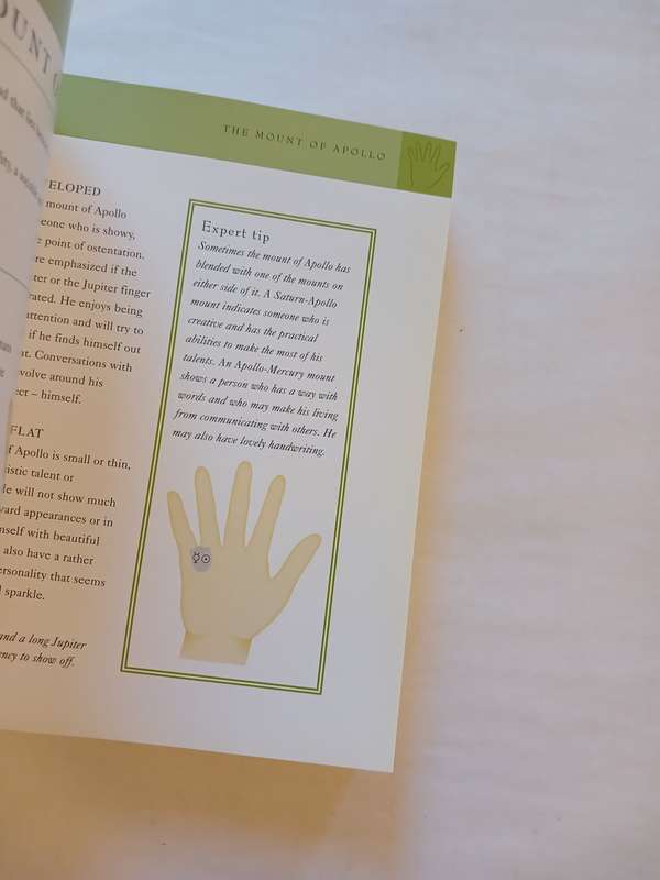 The Palmistry Bible by Jane Struthers