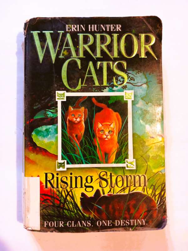 Warrior Cats, Rising Storm by Erin Hunter