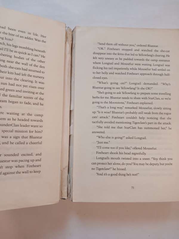 Warrior Cats, Rising Storm by Erin Hunter