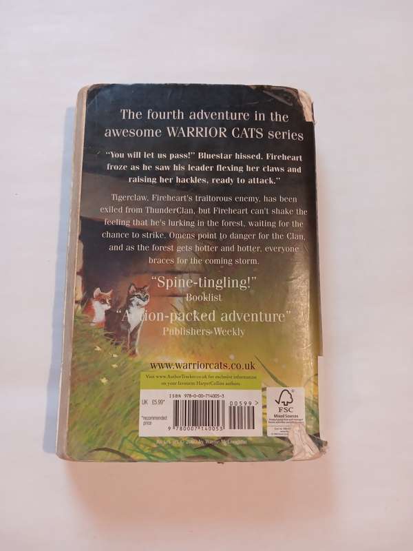 Warrior Cats, Rising Storm by Erin Hunter