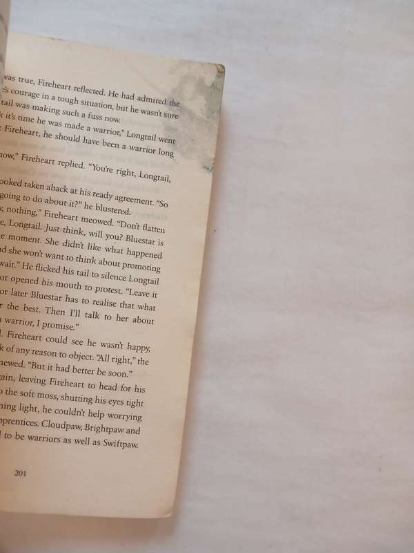 Warrior Cats, A Dangerous Path by Erin Hunter