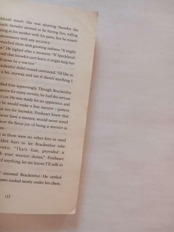 Warrior Cats, A Dangerous Path by Erin Hunter