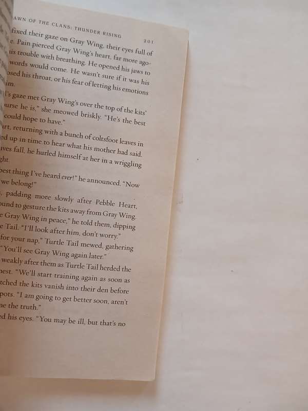 Warriors, Dawn of the Clans, Thunder Rising Erin Hunter
