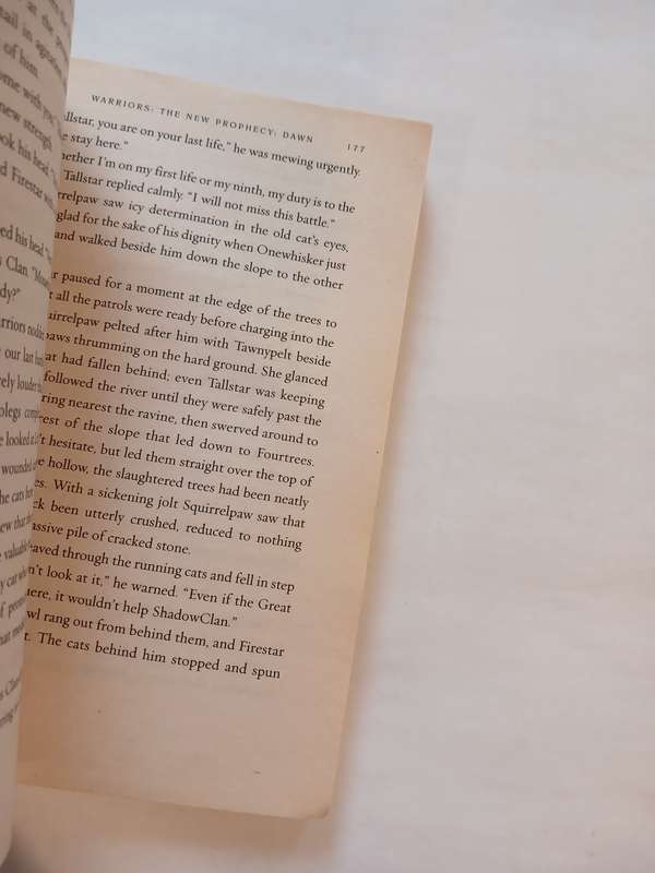 Warriors, The New Prophecy, Dawn by Erin Hunter