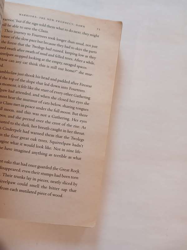 Warriors, The New Prophecy, Dawn by Erin Hunter