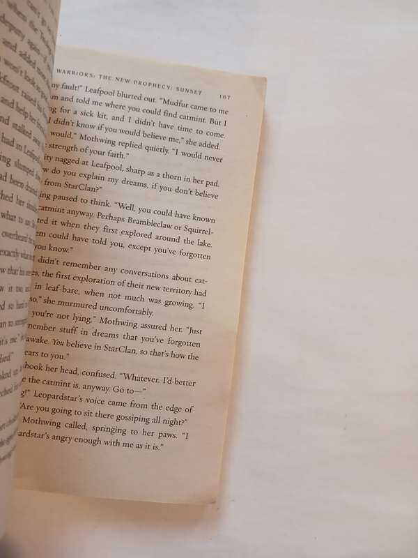Warriors, The New Prophecy, Sunset by Erin Hunter