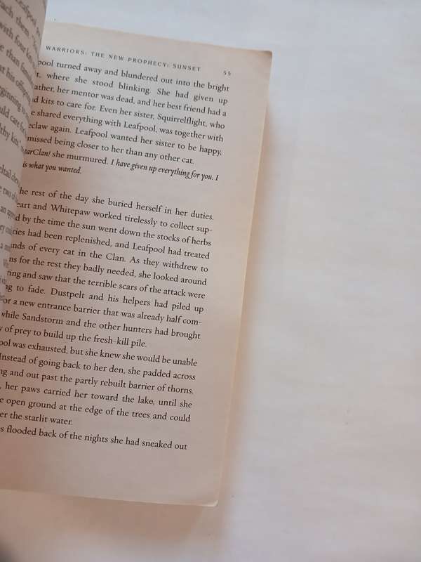 Warriors, The New Prophecy, Sunset by Erin Hunter