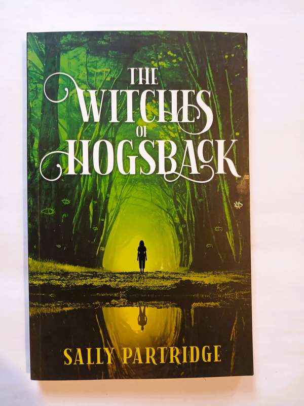The Witches of Hogsback by Sally Partridge