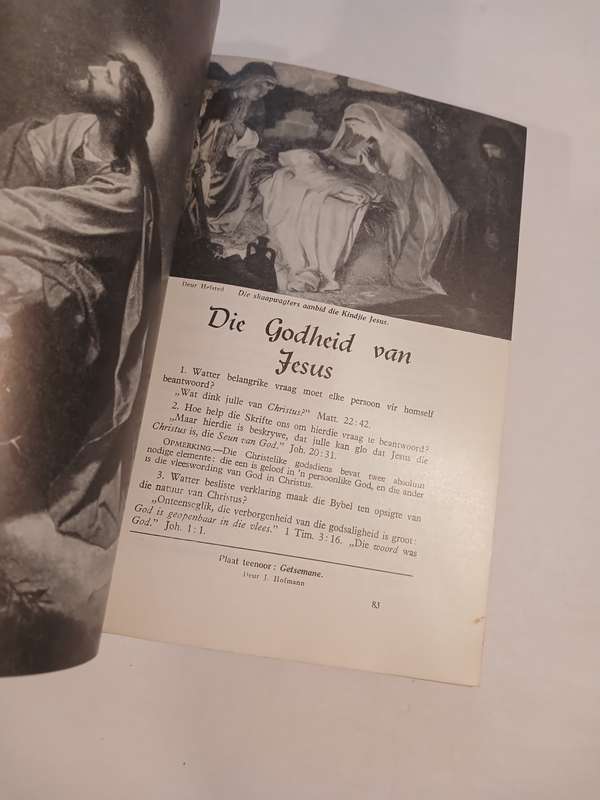 Die Bybel Spreek deur W.L. Emmerson