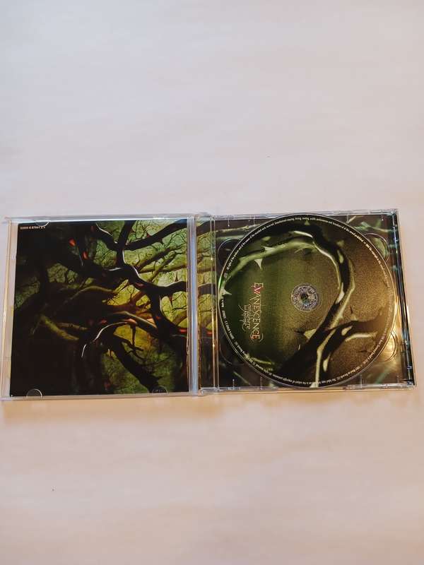Evanescence, Anywhere but Home CD/DVD, Europe