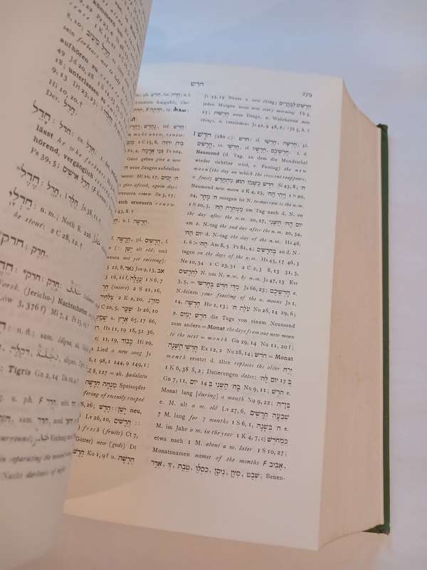 Lexicon In Veteris Testamenti Libros 1958