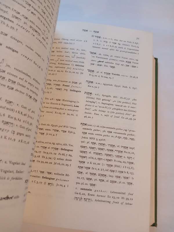 Lexicon In Veteris Testamenti Libros 1958