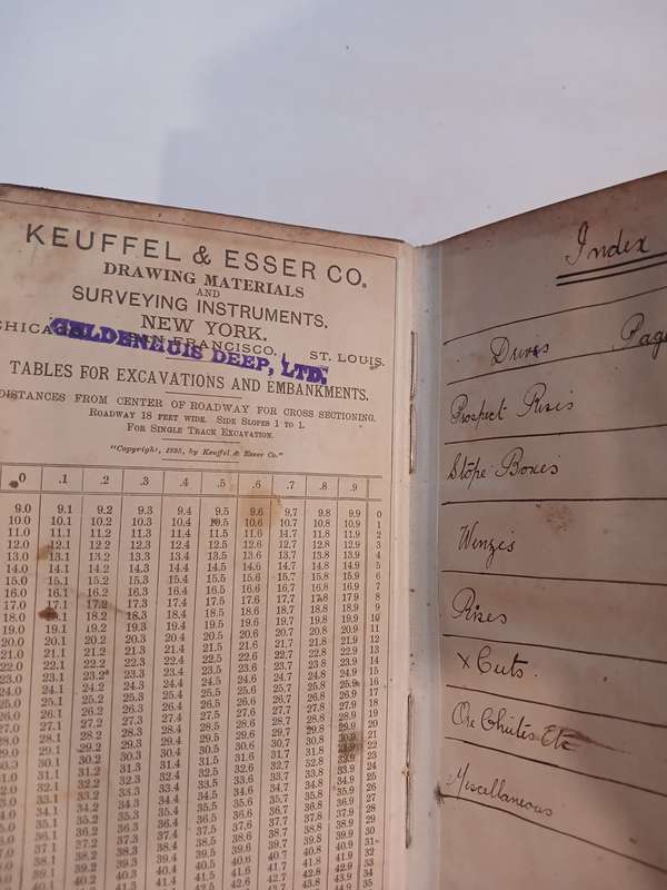 Geldenhuys Deep Ltd. Transit Book, 1913
