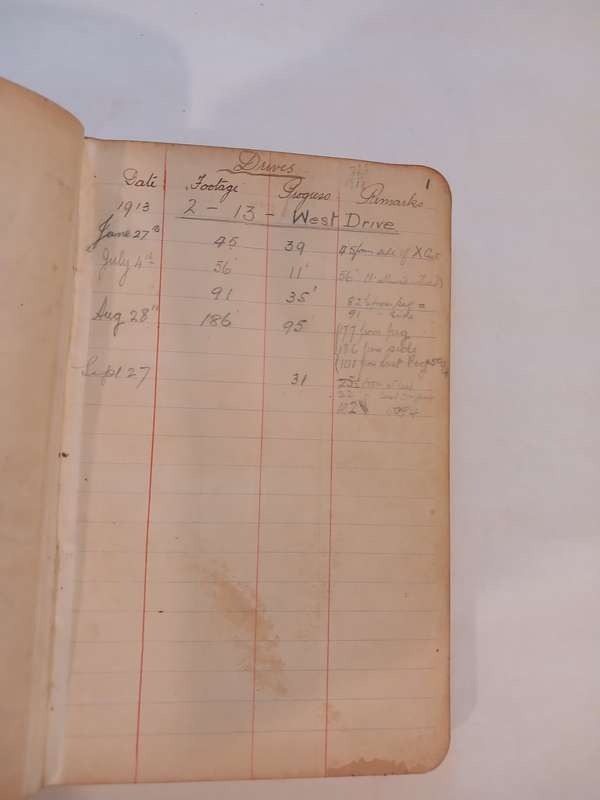 Geldenhuys Deep Ltd. Transit Book, 1913