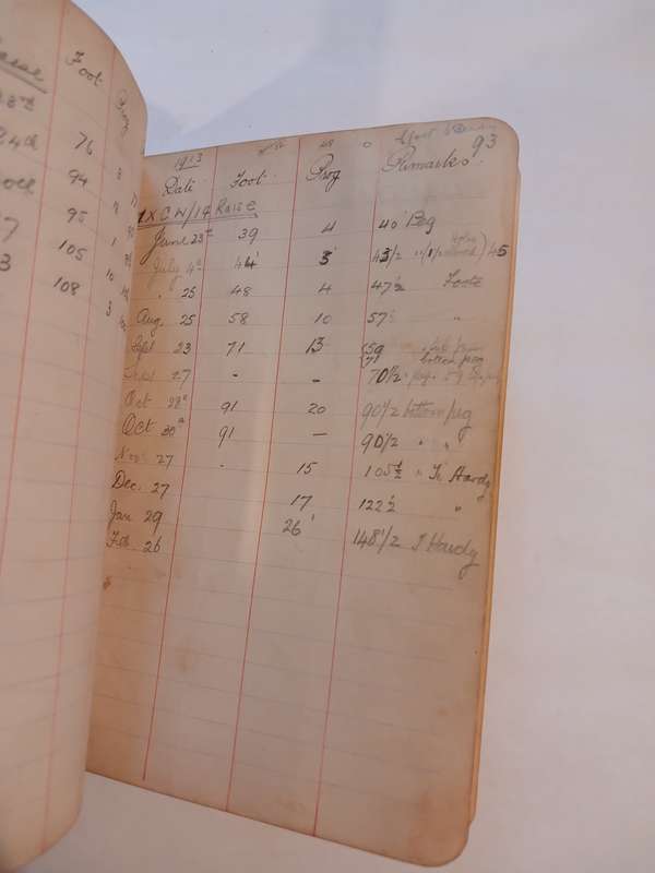 Geldenhuys Deep Ltd. Transit Book, 1913