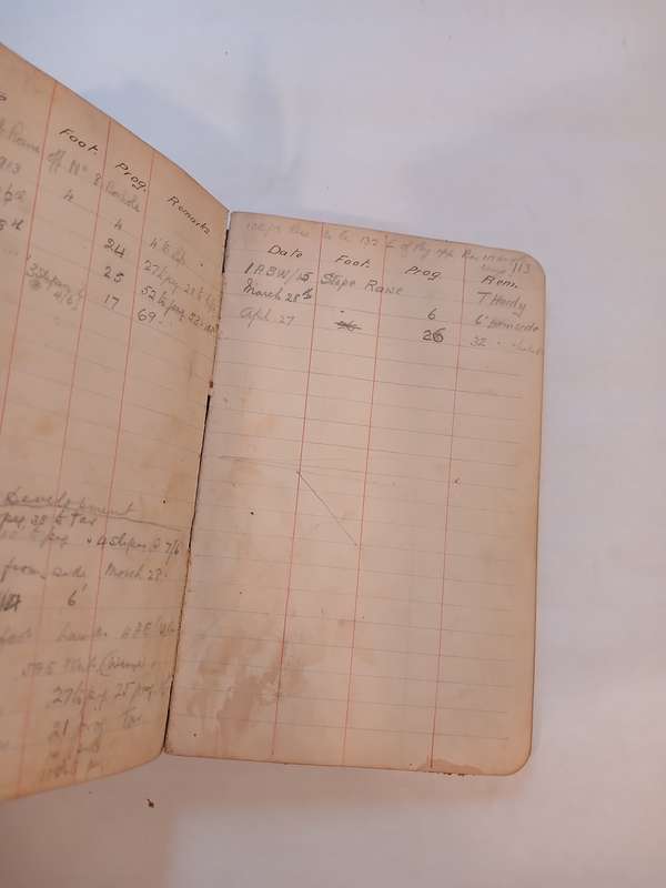 Geldenhuys Deep Ltd. Transit Book, 1913