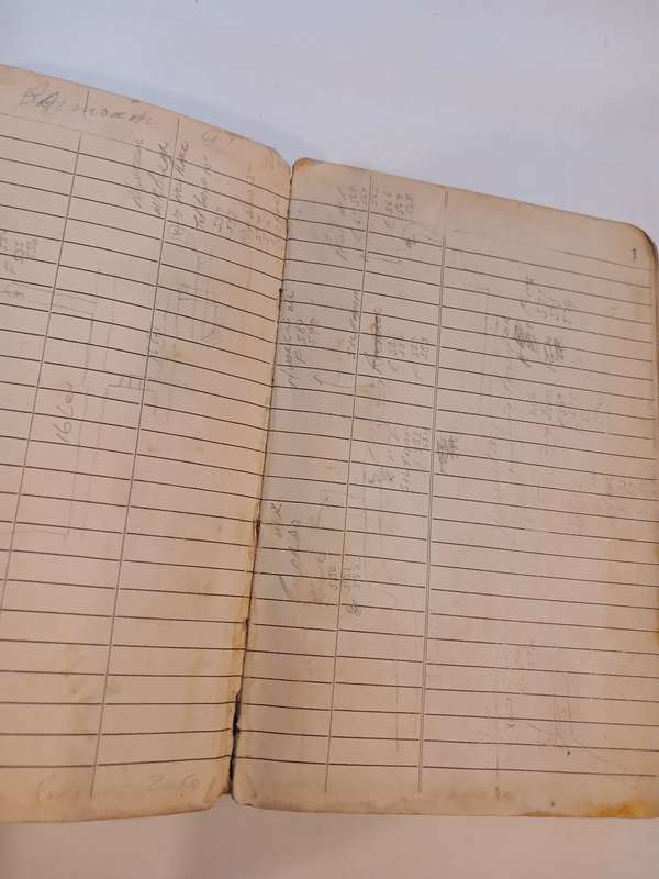 Gold Mining Field Book, 1979-1980