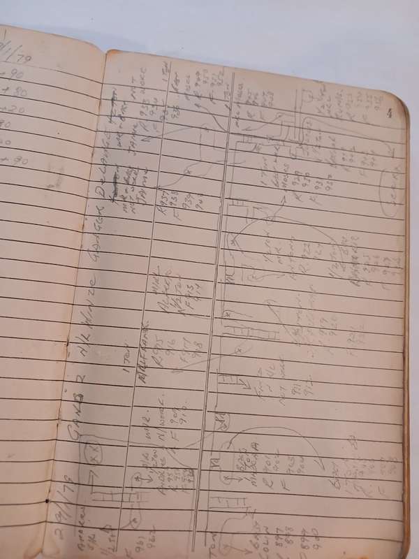 Gold Mining Field Book, 1979-1980