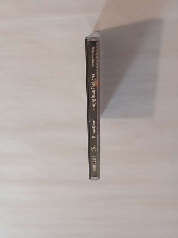 The Wallflowers, Bringing Down the Horse CD