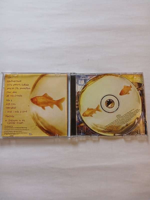 Counting Crows, This Desert Life CD