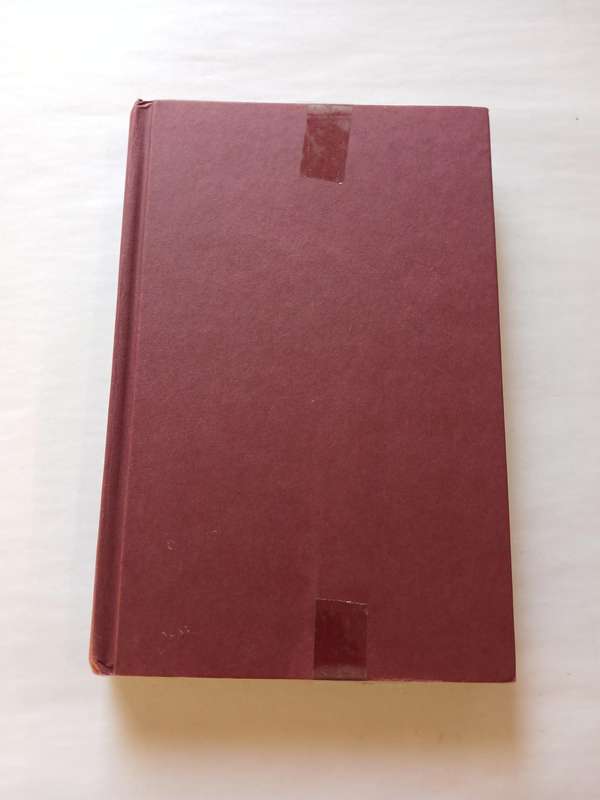 The Fires of Merlin by T.A. Barron