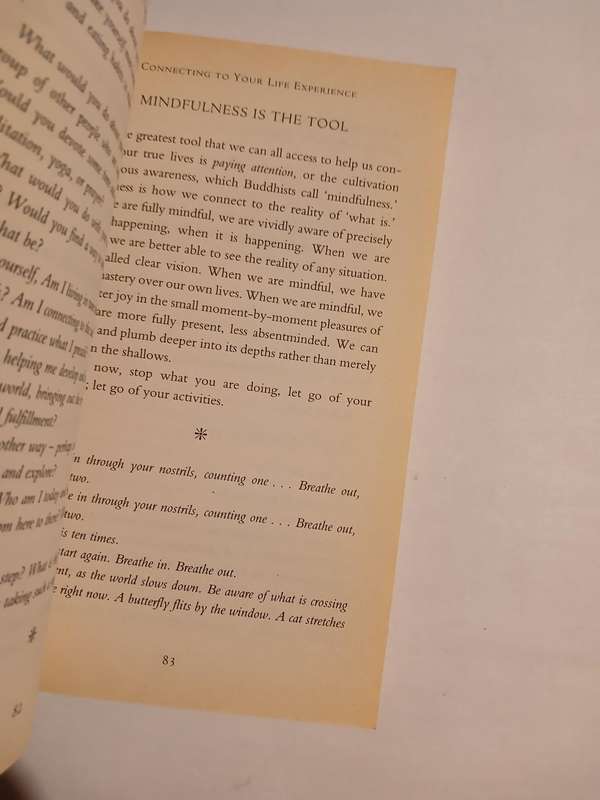Awakening The Buddhist Heart by Lama Surya Das