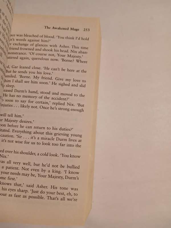 The Awakened Mage, Kingmaker Kingbreaker Book Two by Karen Miller