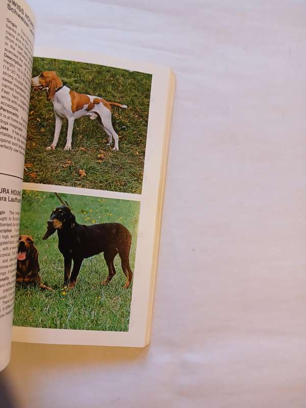 Dogs, Macdonald Encyclopedia, Gino Pugnetti