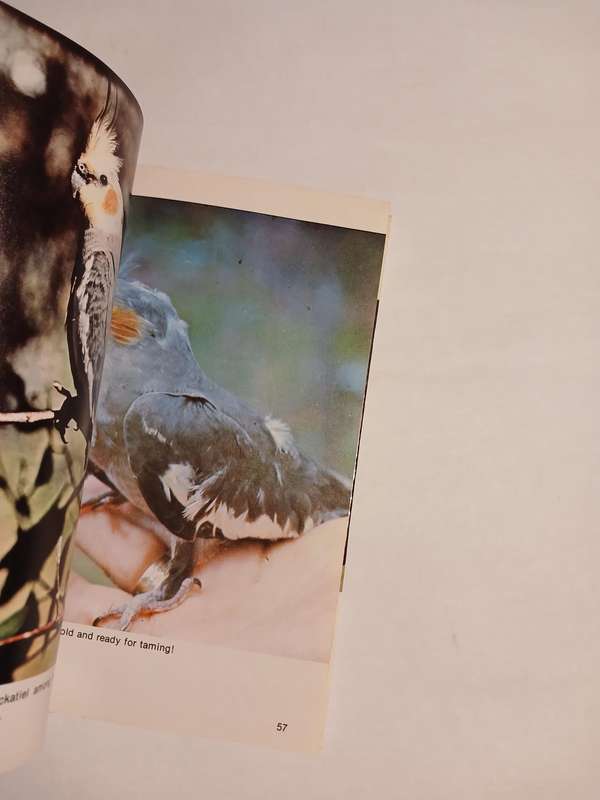 All About Cockatiels by Dr. Gerald R. Allen & Connie J. Allen
