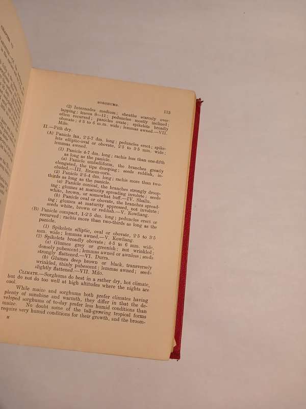 Field Crops in South Africa by Leppan and Bosman, 1923