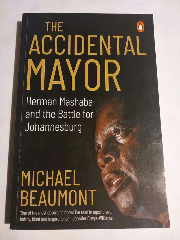 The Accidental Mayor by Michael Beaumont