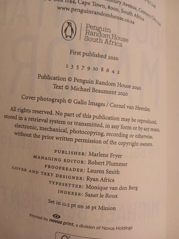 The Accidental Mayor by Michael Beaumont