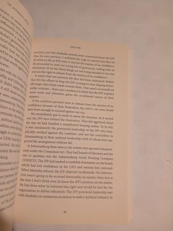 The Accidental Mayor by Michael Beaumont