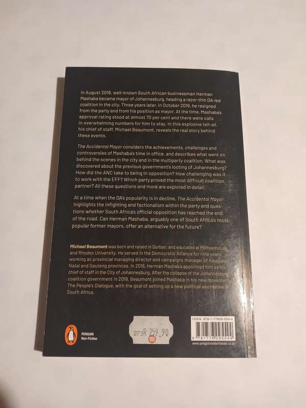 The Accidental Mayor by Michael Beaumont