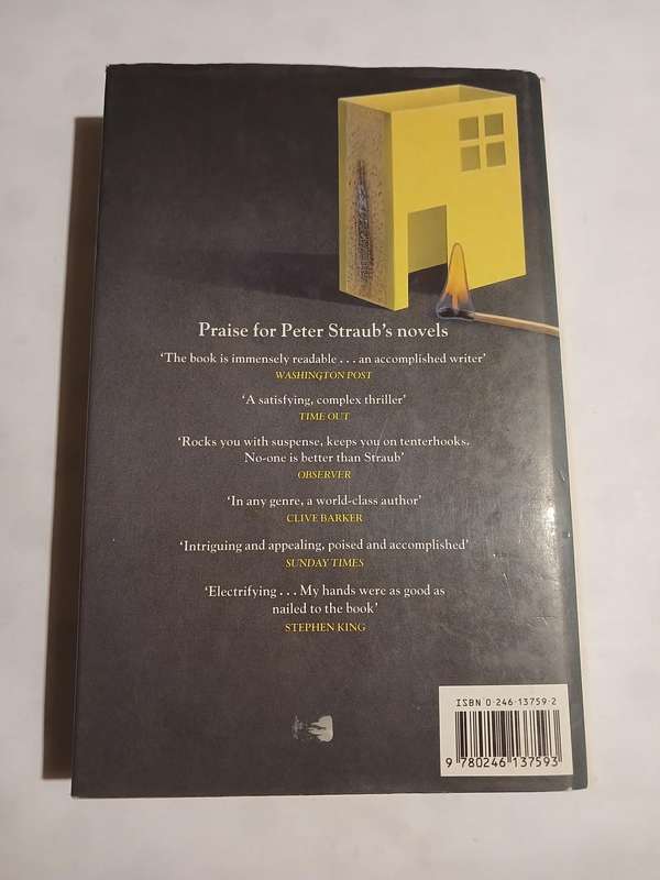 Houses Without Doors by Peter Straub, Hardcover, 1990 First Edition