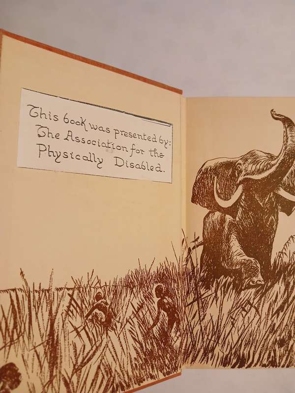 The White Leopard, A Tale of the African Bush by Inglis Fletcher, Hardcover 1931 First Edition