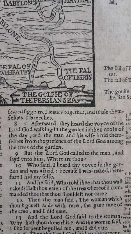 geneva breeches bible 1599